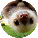 Olivia Matthews profile picture